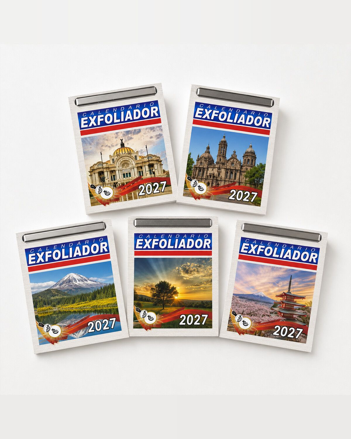 Cinco tacos exfoliadores 2027 sueltos, con broche metálico y distintas portadas
